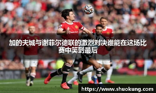 加的夫城与谢菲尔德联的激烈对决谁能在这场比赛中笑到最后